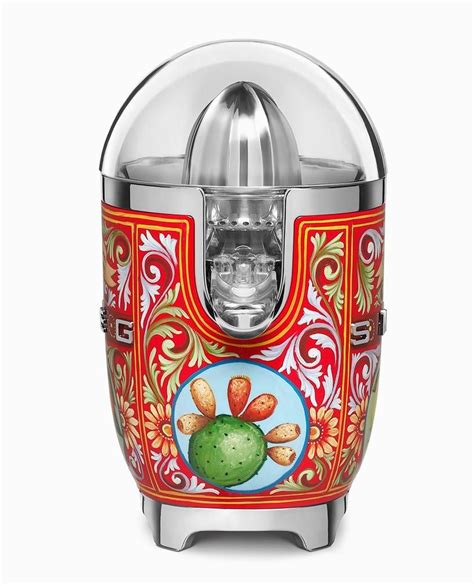 dolce & gabbana adorns smeg kitchen appliances 